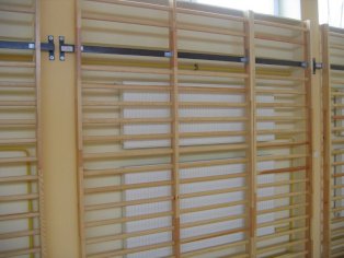 Supporting Structure for Gymnastic Ladder Assembly