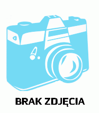 Linie wyznaczające pole gry do siatkówki plażowej z płytkami