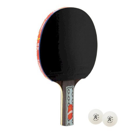 Rakietka do tenisa stołowego ping-ponga Giant Dragon 9★ N8092 + 2 piłeczki, pokrowiec